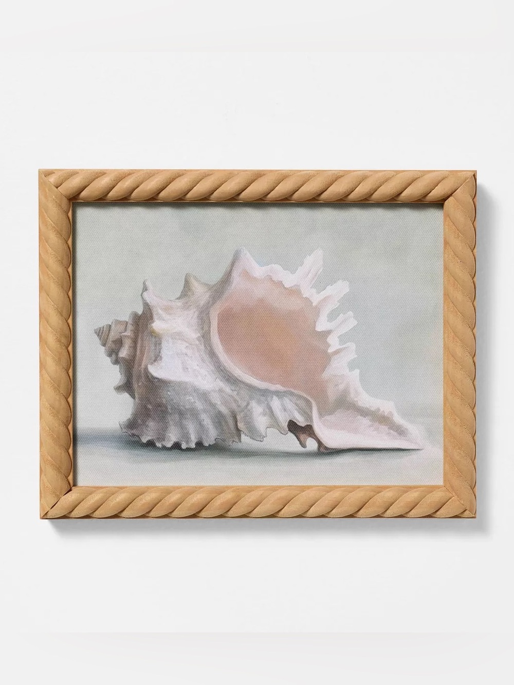 Threshold Coastal Shell Canvas in Pink and Cream